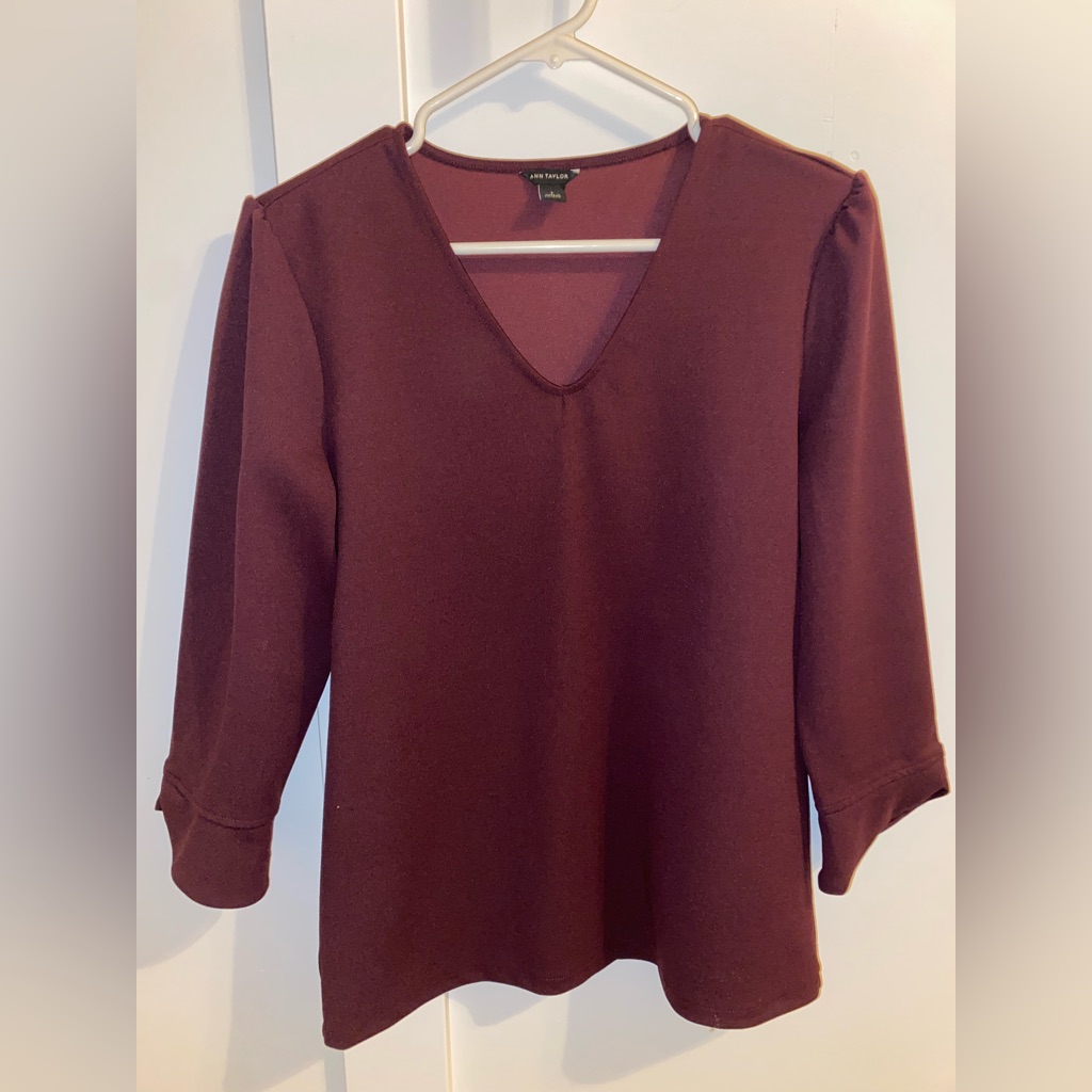 Ann Taylor Ruffle Sleeve Blouse